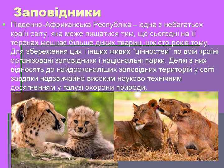 Заповідники Південно-Африканська Республіка – одна з небагатьох країн світу, яка може пишатися тим, що