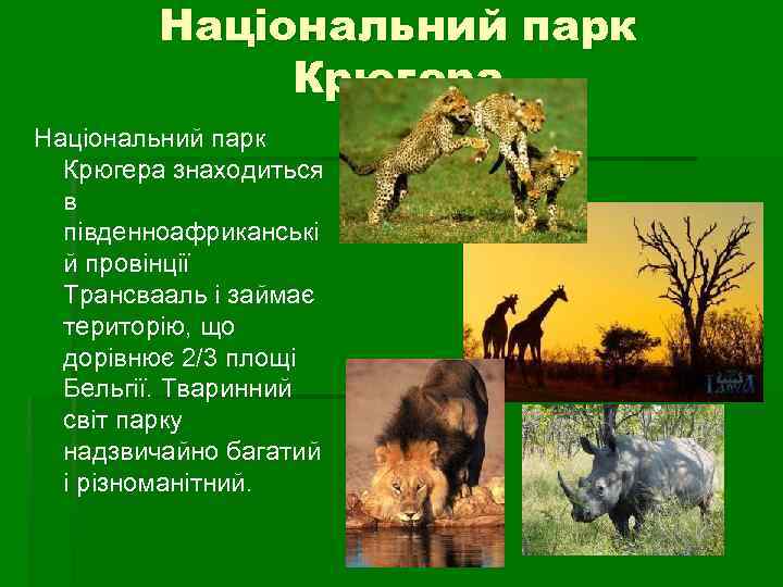 Національний парк Крюгера знаходиться в південноафриканські й провінції Трансвааль і займає територію, що дорівнює
