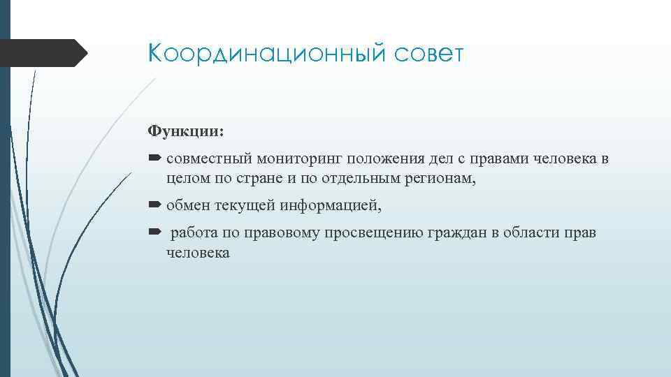 Координационный совет Функции: совместный мониторинг положения дел с правами человека в целом по стране