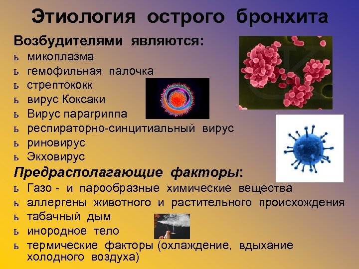 Этиология острого бронхита Возбудителями являются: ь ь ь ь микоплазма гемофильная палочка стрептококк вирус
