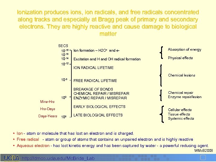 Ionization produces ions, ion radicals, and free radicals concentrated along tracks and especially at