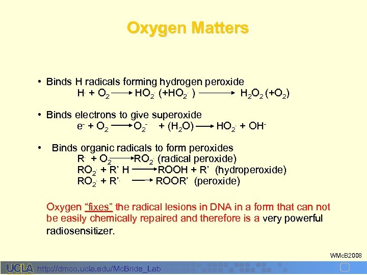 Oxygen Matters • Binds H radicals forming hydrogen peroxide H. + O 2 HO