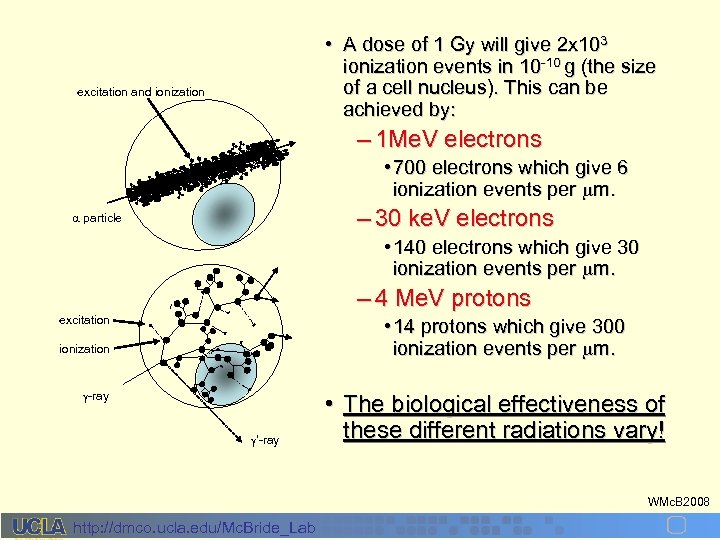  • A dose of 1 Gy will give 2 x 103 ionization events