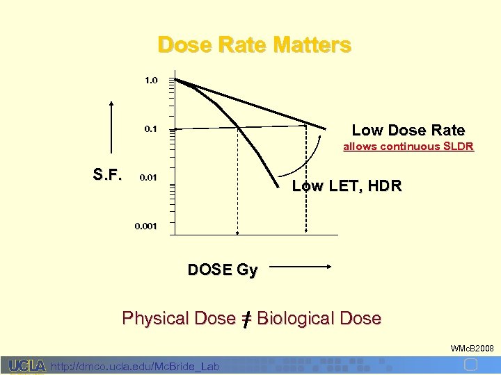 Dose Rate Matters 1. 0 Low Dose Rate 0. 1 allows continuous SLDR S.