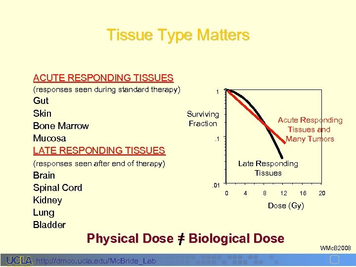 Tissue Type Matters ACUTE RESPONDING TISSUES (responses seen during standard therapy) Gut Skin Bone