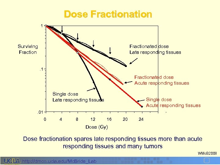 Dose Fractionation 1 Surviving Fractionated dose Late responding tissues. 1 Fractionated dose Acute responding