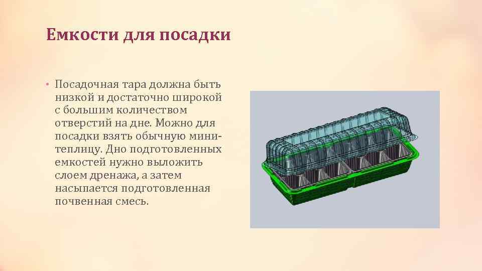 Емкости для посадки • Посадочная тара должна быть низкой и достаточно широкой с большим