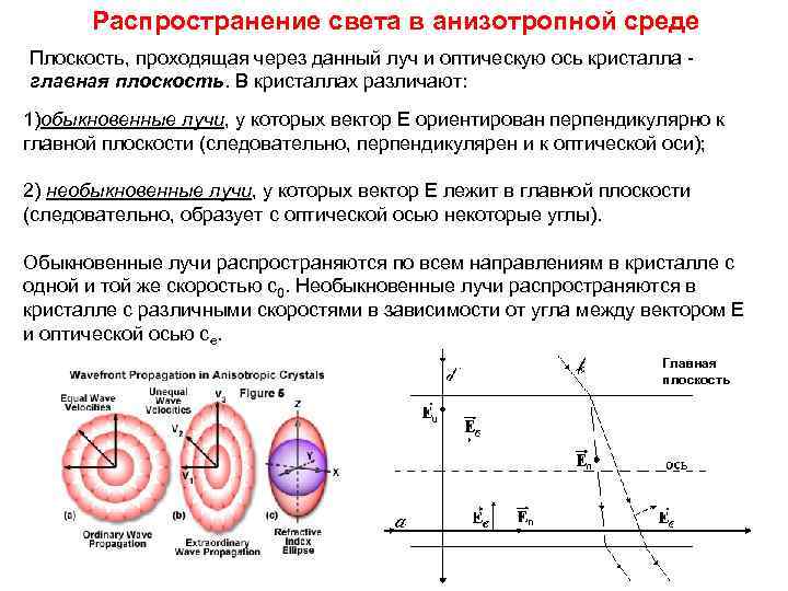 Распространение света в анизотропной среде Плоскость, проходящая через данный луч и оптическую ось кристалла