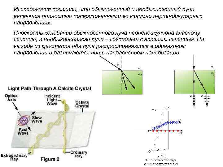 Исследования показали, что обыкновенный и необыкновенный лучи являются полностью поляризованными во взаимно перпендикулярных направлениях.