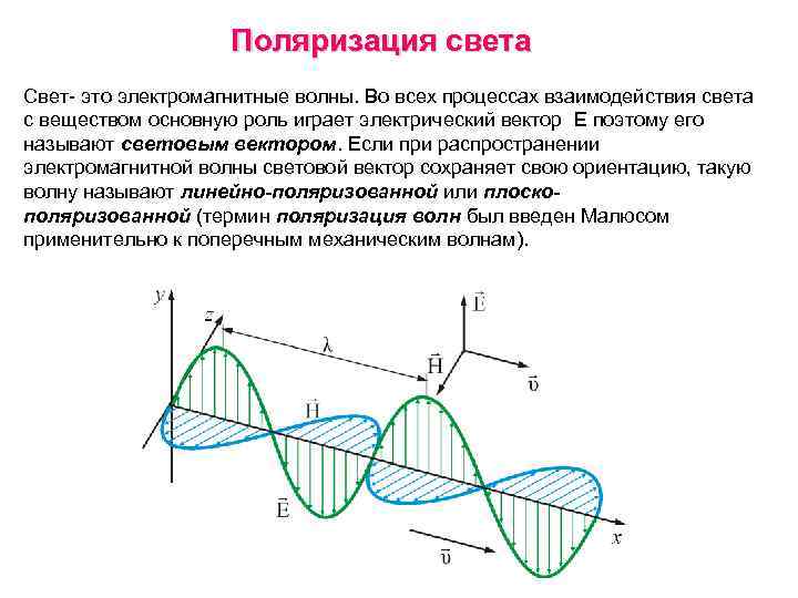 Поляризация света Свет- это электромагнитные волны. Во всех процессах взаимодействия света с веществом основную