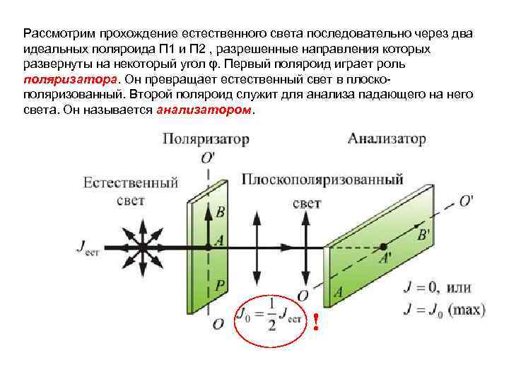 Рассмотрим прохождение естественного света последовательно через два идеальных поляроида П 1 и П 2