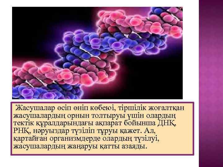 Жасушалар өсіп өніп көбеюі, тіршілік жоғалтқан жасушалардың орнын толтыруы үшін олардың тектік құралдарындағы ақпарат