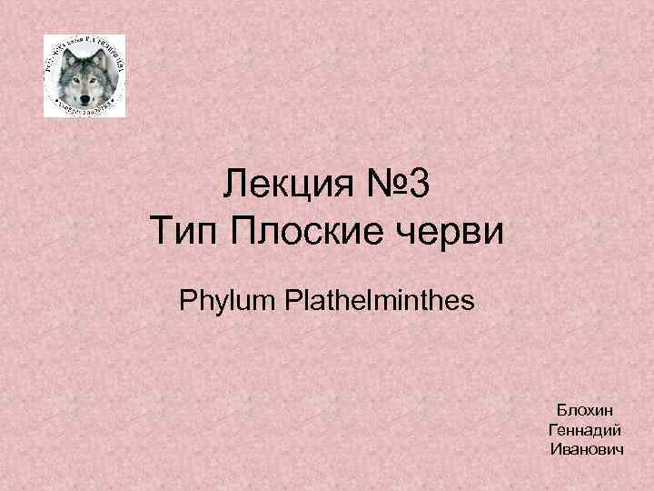 Лекция № 3 Тип Плоские черви Phylum Plathelminthes Блохин Геннадий Иванович 