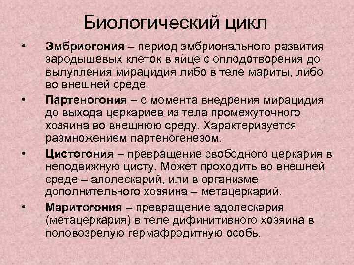 Биологический цикл • • Эмбриогония – период эмбрионального развития зародышевых клеток в яйце с