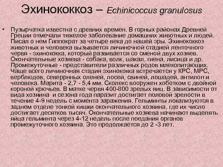 Эхинококкоз – Echinicoccus granulosus • Пузырчатка известна с древних времен. В горных районах Древней