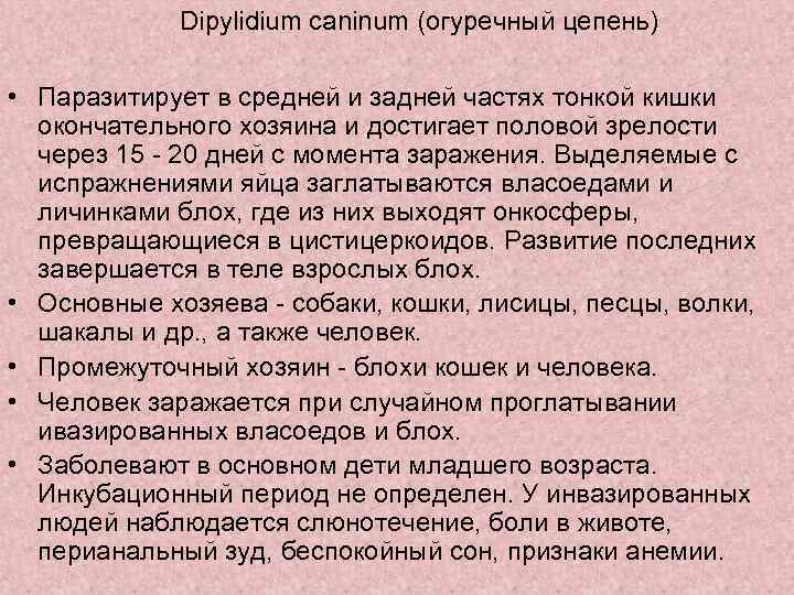 Dipylidium caninum (огуречный цепень) • Паразитирует в средней и задней частях тонкой кишки окончательного