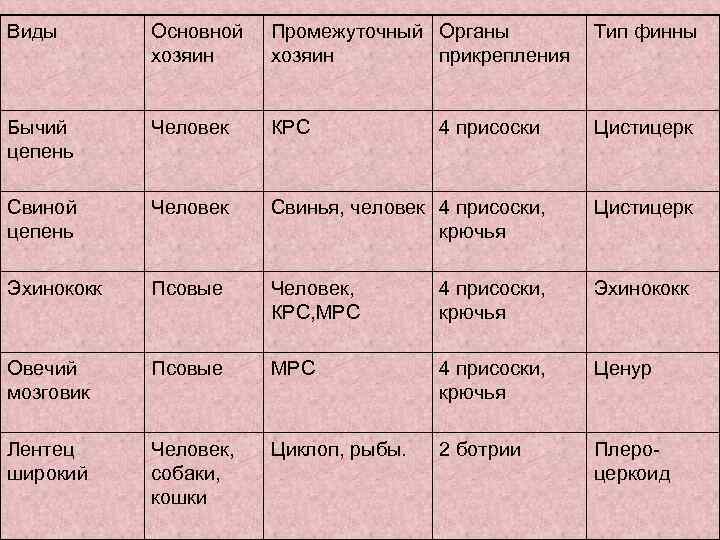 Тип плоские черви таблица. Типы Финн ленточных червей таблица. Основной хозяин Тип плоские черви. Типы Финн у цепней таблица.