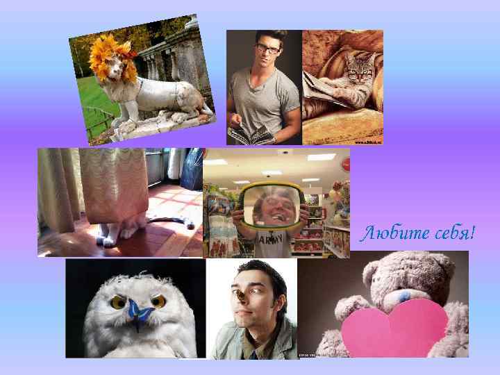 Любите себя! 