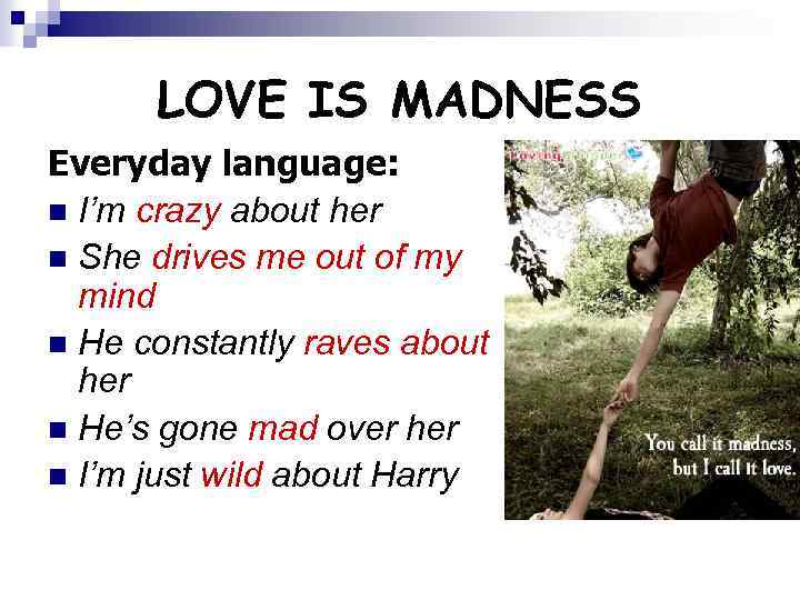 LOVE IS MADNESS Everyday language: n I’m crazy about her n She drives me