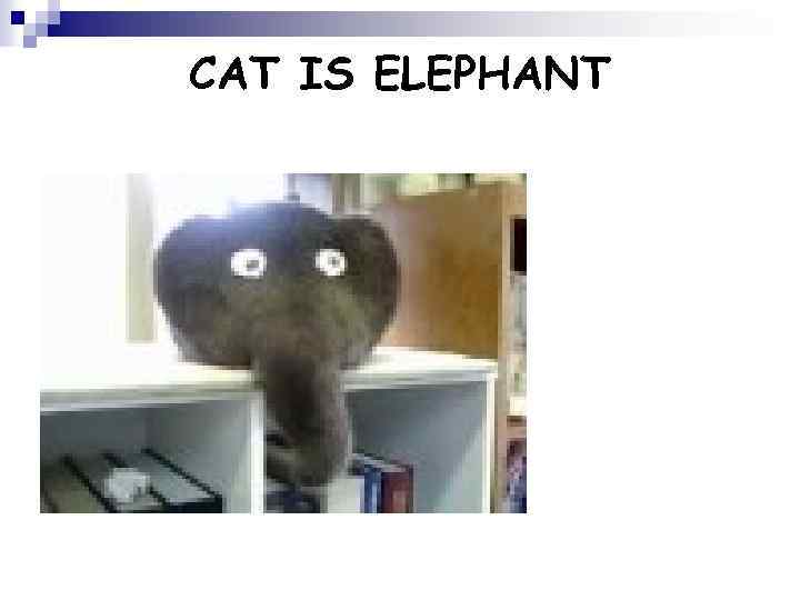 CAT IS ELEPHANT 