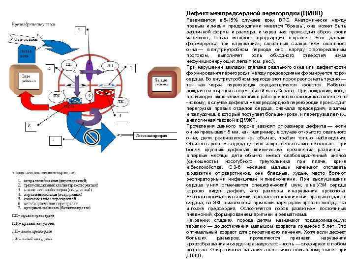 Дефект межпредсердной перегородки (ДМПП) Развивается в 5 -15% случаев всех ВПС. Анатомически между правым