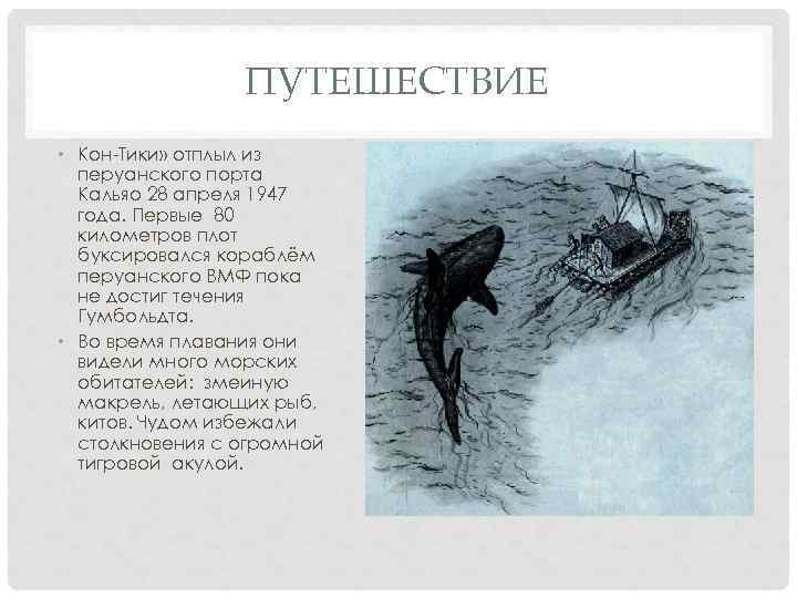 ПУТЕШЕСТВИЕ • Кон-Тики» отплыл из перуанского порта Кальяо 28 апреля 1947 года. Первые 80
