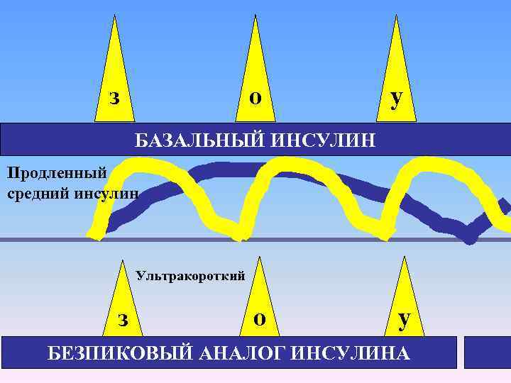 з о у БАЗАЛЬНЫЙ ИНСУЛИН Продленный средний инсулин Ультракороткий з о у БЕЗПИКОВЫЙ АНАЛОГ