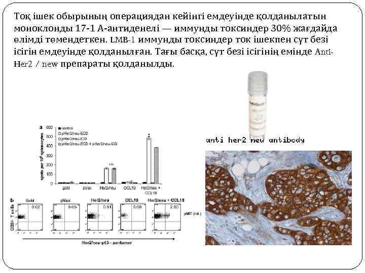 Тоқ ішек обырының операциядан кейінгі емдеуінде қолданылатын моноклонды 17 -1 А-антиденелі — иммунды токсиндер