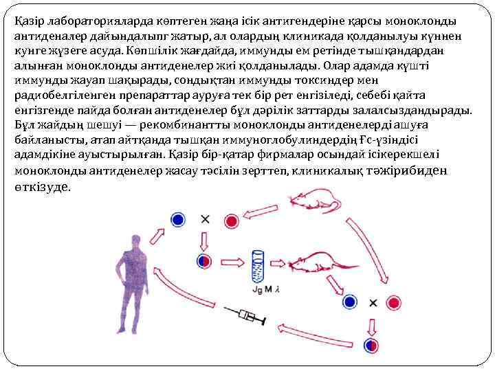 Қазір лабораторияларда көптеген жаңа ісік антигендеріне қарсы моноклонды антиденалер дайындалыпг жатыр, ал олардың клиникада