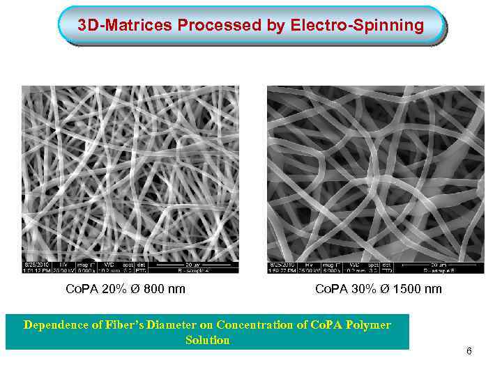 3 D-Matrices Processed by Electro-Spinning Co. PA 20% Ø 800 nm Co. PA 30%