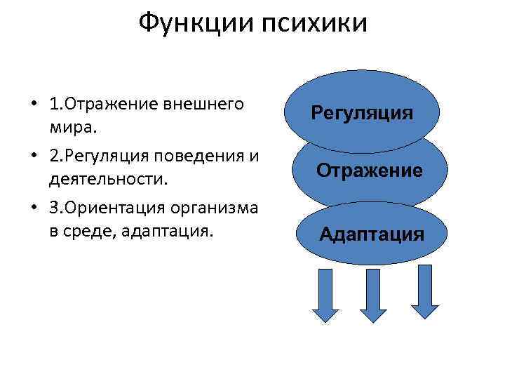 Функции психики • 1. Отражение внешнего мира. • 2. Регуляция поведения и деятельности. •