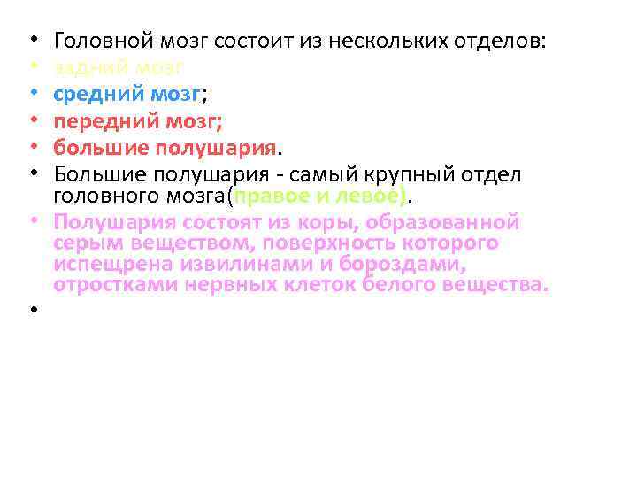 Головной мозг состоит из нескольких отделов: задний мозг средний мозг; передний мозг; большие полушария.