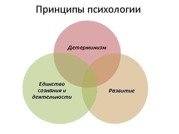 Принципы психологии Детерминизм Единство сознания и деятельности Развитие 