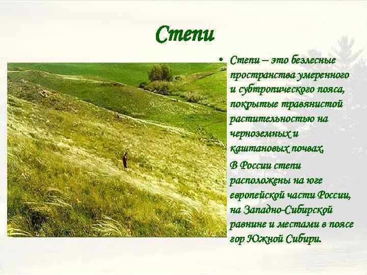 Cтепи • Степи – это безлесные пространства умеренного и субтропического пояса, покрытые травянистой растительностью