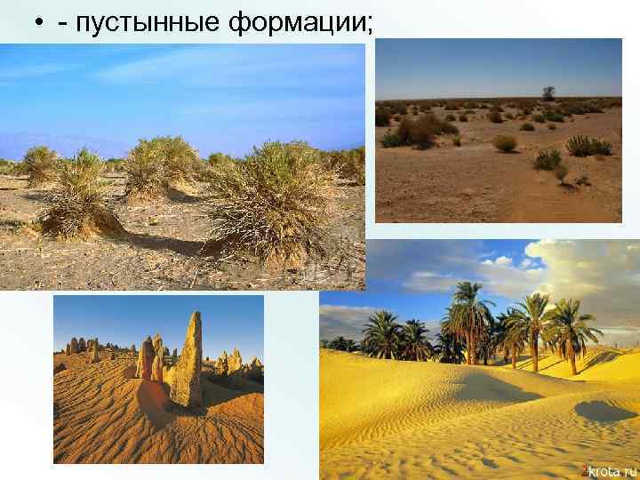  • - пустынные формации; 