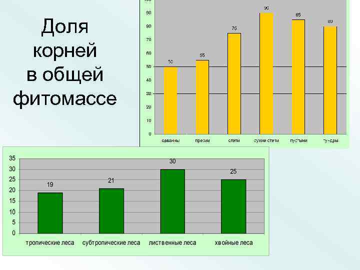 Доля корней в общей фитомассе 