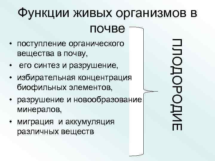 Функции живых организмов в почве ПЛОДОРОДИЕ • поступление органического вещества в почву, • его