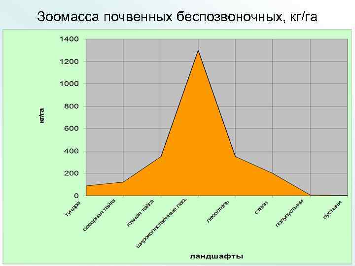 Зоомасса почвенных беспозвоночных, кг/га 