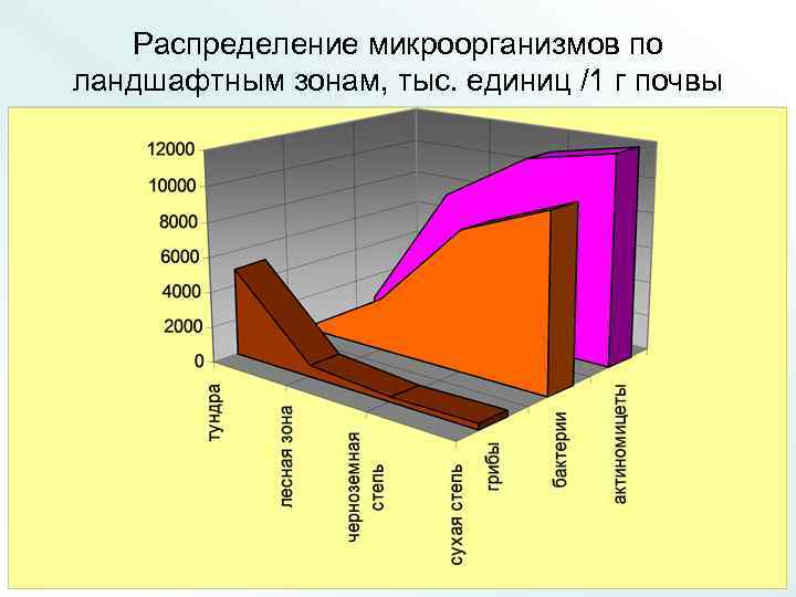 Распределение микроорганизмов по ландшафтным зонам, тыс. единиц /1 г почвы 