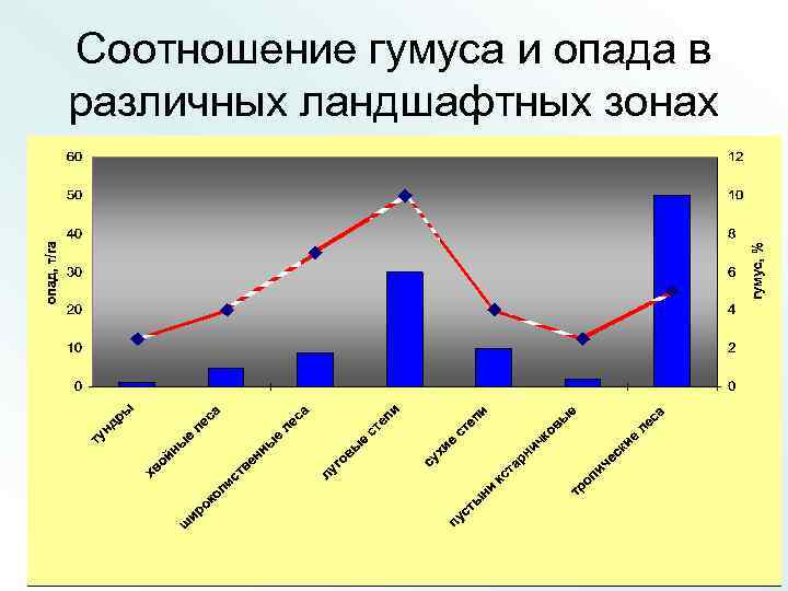Соотношение гумуса и опада в различных ландшафтных зонах 