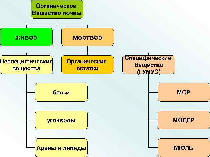 Факторы почвообразования фото