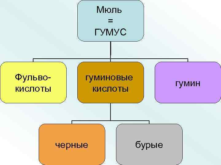 Мюль = ГУМУС Фульвокислоты гуминовые кислоты черные гумин бурые 