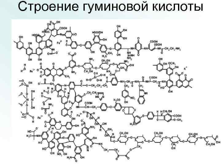 Строение гуминовой кислоты 