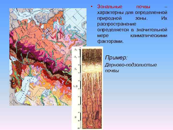 Дерново-подзолистые почвы природная зона. Механический состав почвы восточно европейской равнины