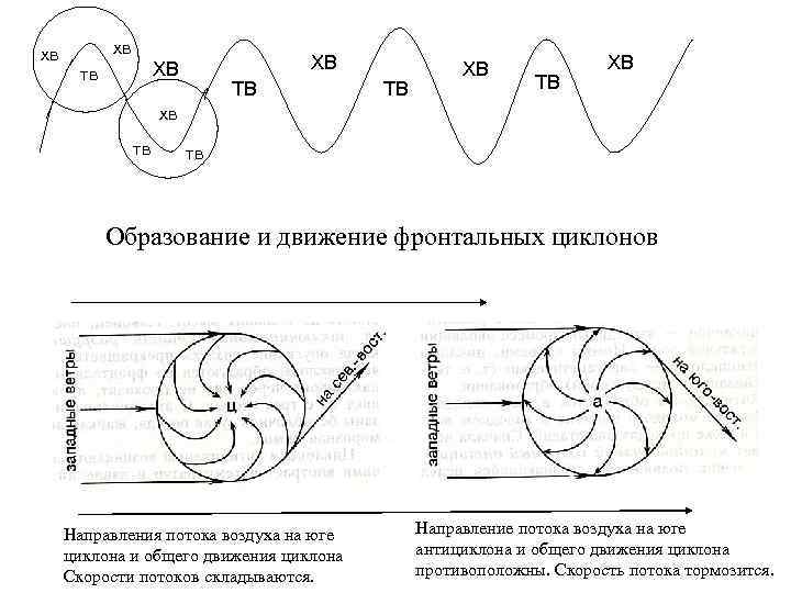хв хв ХВ ХВ тв ТВ ТВ ТВ ХВ хв тв тв Образование и