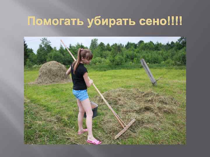 Помогать убирать сено!!!! 