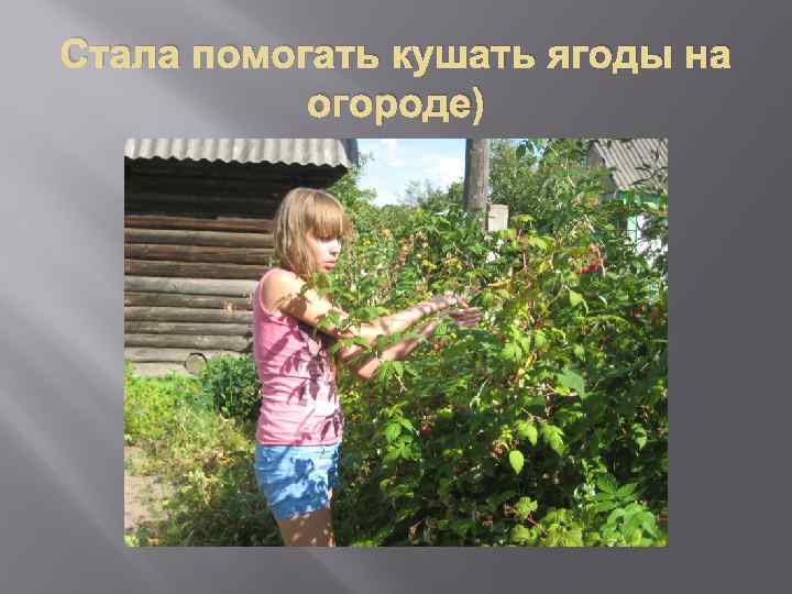 Стала помогать кушать ягоды на огороде) 