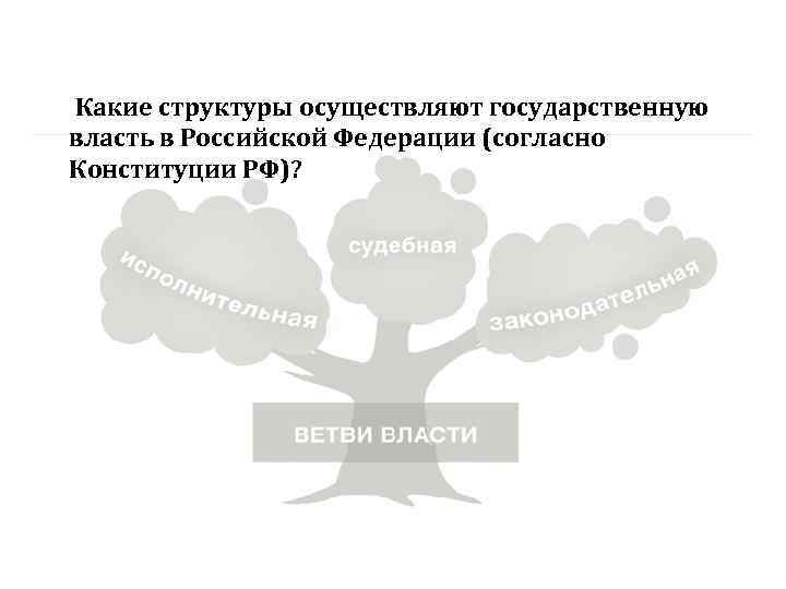  Какие структуры осуществляют государственную власть в Российской Федерации (согласно Конституции РФ)? 
