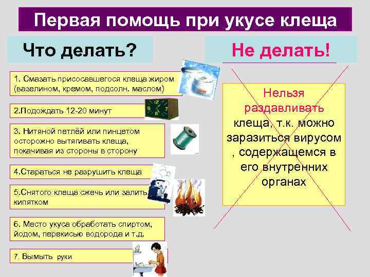 Первая помощь при укусе клеща Что делать? 1. Смазать присосавшегося клеща жиром (вазелином, кремом,