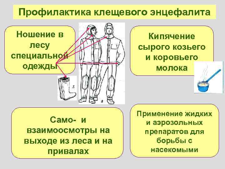 Профилактика клещевого энцефалита Ношение в лесу специальной одежды Само- и взаимоосмотры на выходе из